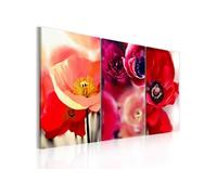 Tableau Coquelicots trois perspectives-Taille L 120 x H 80 cm
