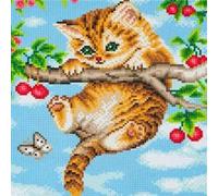CRYSTAL ART - Kit Tableau Broderie Diamant sur Chassis Toilé - Activité Manuelle de Peinture - Loisirs Créatifs - Adulte et Enfant - Thème : Chaton Acrobate - Format : 30 x 30 cm
