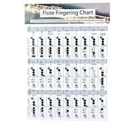 Tableau d'accords de doigté de flûte pour débutants, outils pédagogiques, accessoires d'instruments, facile à comprendre, tableau graphique des doigtés pour étudiants en flûte (Flute Fingering Chart
