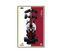 Tableau d'affichage mural pour Le*go-a 1:8 pour voiture Al-fa Romeo F1 Team C42 - 50 x 80 cm - Cadeau pour les fans de voitures de course L-e*g-o (panneau uniquement) (A, lumière)