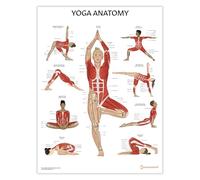 Tableau d'anatomie de yoga, poster d'anatomie et de physiologie, art mural, 45 x 60 cm, éducation physique, poses de yoga