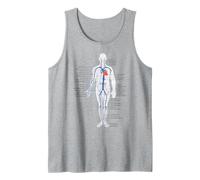 Tableau d'anatomie du système circulatoire Veines et artères Débardeur