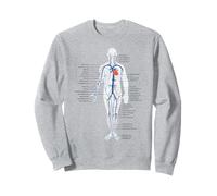 Tableau d'anatomie du système circulatoire Veines et artères Sweatshirt