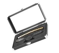 Tableau de blanchiment des dents | Guide de teinte des dents Guide teinte dentaire 20 couleurs avec miroir outils blanchiment pour le suivi dentistes