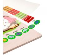 Tableau de Calendrier éducatif en Bois Montessori pour Enfants, Jouet, Heure, Date, Météo, Saison, Outil d'apprentissage (Colorful)