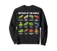 Tableau de Dessin animé Reptiles of The World Lézard Serpent Tortue Sweatshirt
