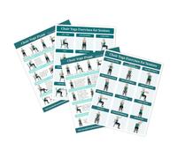 Tableau de yoga sur chaise, ensemble d'affiches d'exercice assis, guide d'entraînement physique pour les personnes âgées, tableaux d'entraînement illustrés pour la flexibilité et la mobilité