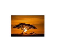 Tableau Deco Coucher de soleil savane africaine nature arbres herbes Tableaux Decoration Murale Photo Image Artistique Photographie Graphique 40x60cm Sans cadre