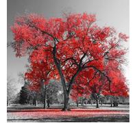 Tableau deco grand arbre rouge - 50x50 cm