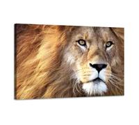 Tableau déco lion - Décoration murale - 90x60cm - Impression haute résolution sur toile tendue sur un cadre en bois