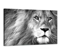 Tableau déco lion noir et blanc - Décoration murale - 90x60cm - Impression haute résolution sur toile tendue sur un cadre en bois