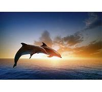 Tableau Décoratif Grand Format sur Toile Saut Des Dauphins 90 x 60 cm | Impression Haute qualité Scenolia