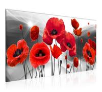 Tableau Décoration Murale 100x40 cm Runa art 208912c Fleurs de Coquelicots - 1 Panneau Deco Toile Prêt à Accrocher - Rouge