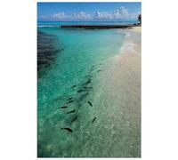 Tableau Decoration Murale Bleu Ciel Vert Toile Peinture Affiche Decoration Murale Salon Chambre Poster Mural Sans Cadre Tableaux, Posters Et Arts Décoratifs Impression Sur Toile 50x70cm/1 Pcs