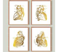 Tableau Decoration Murale, Coeur Anatomique Impression Cardiologie Vintage Art Coeur Structure Affiche Art Médical Cardiologue Cadeau Chirurgien Cadeau Décoration De Bureau De Médecin 30X40Cmx4
