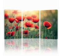 Tableau Decoration Murale Fleur Cadre en Bois Impression sur Toile, Peinture Poster Mural Tableau Fantaisie Triptyque pour Moderne Salon Chambre Restaurant Maison Bain Cuisine 50x75 cmx 3pcs 1f-14