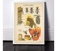 Tableau Decoration Murale Salon,Abeilles Antiques Imprime Affiche Naturelle Insectes Vintage Français Abeille À Miel Mur Art Toile Peinture Sépia Tonique Abeille Diagramme Décoration Murale - 30X40Cm