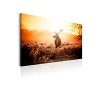 Tableau - Deer in the Sun - 120x80 (2927)