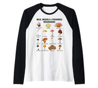 Tableau des Champignons Sauvages et Toxiques Champignons Toxiques et Non comestibles Manche Raglan
