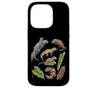 Tableau des espèces de Geckos - Types d'art éducatif de Geckos Coque pour iPhone 14 Pro