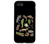 Tableau des espèces de Geckos - Types d'art éducatif de Geckos Coque pour iPhone SE (2020) / 7/8