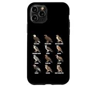 Tableau des espèces des Rapaces des Oiseaux de Proie Coque pour iPhone 11 Pro