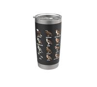Tableau des espèces des rapaces des oiseaux de proie Gobelet isotherme en acier inoxydable double paroi