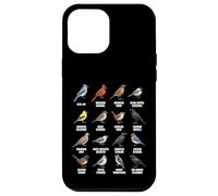 Tableau des espèces d'oiseaux d'Amérique du Nord Coque pour iPhone 12 Pro Max