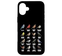 Tableau des espèces d'oiseaux d'Amérique du Nord Coque pour iPhone 16 Plus