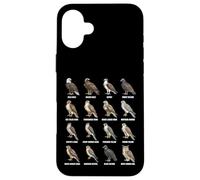 Tableau des espèces d'oiseaux de Proie des Rapaces d'Amérique du Nord Coque pour iPhone 16 Plus