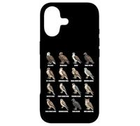 Tableau des espèces d'oiseaux de Proie des Rapaces d'Amérique du Nord Coque pour iPhone 17