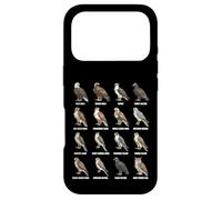 Tableau des espèces d'oiseaux de Proie des Rapaces d'Amérique du Nord Coque pour iPhone 17 Pro