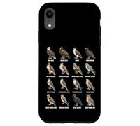 Tableau des espèces d'oiseaux de Proie des Rapaces d'Amérique du Nord Coque pour iPhone XR