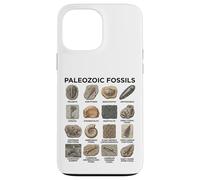 Tableau des fossiles du Paléozoïque Amoureux des Sciences de la paléontologie Coque pour iPhone 13 Pro Max