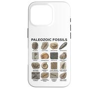 Tableau des fossiles du Paléozoïque Amoureux des Sciences de la paléontologie Coque pour iPhone 16 Pro