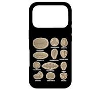 Tableau des fossiles précambriens Diagramme des organismes Ediacaran Coque pour iPhone 17 Pro