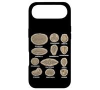 Tableau des fossiles précambriens Diagramme des organismes Ediacaran Coque pour iPhone Air