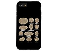 Tableau des fossiles précambriens Diagramme des organismes Ediacaran Coque pour iPhone SE (2020) / 7/8