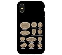 Tableau des fossiles précambriens Diagramme des organismes Ediacaran Coque pour iPhone X/XS