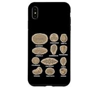 Tableau des fossiles précambriens Diagramme des organismes Ediacaran Coque pour iPhone XS Max