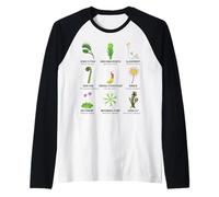 Tableau des Plantes Carnivores Venus Flytrap, Pichet Plante Manche Raglan