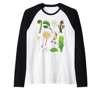 Tableau des Plantes Carnivores Venus Flytrap, Pichet Plante Manche Raglan