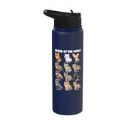Tableau Des Renards Du Monde De La Faune Renard Fennec Stainless Steel Insulated Water Bottle