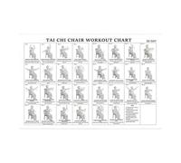 Tableau D'exercices Sur Chaise - 30,5 X 45,7 Cm, Tableau D'entraînement Illustré Pour Tout Le Corps, Chaise Senior Pour Hommes | Pour Femmes Hommes Débutants Personnes Âgées Fitness Étirements Mobilit