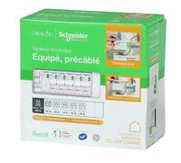 Tableau d'extension monté câblé SCHNEIDER ELECTRIC 1 rangée