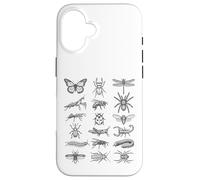 Tableau d'histoire Naturelle Scientifique des espèces d'insectes d'entomologie Coque pour iPhone 16
