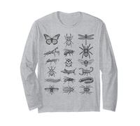 Tableau d'histoire Naturelle Scientifique des espèces d'insectes d'entomologie Manche Longue