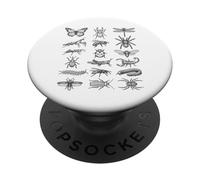 Tableau d'histoire Naturelle Scientifique des espèces d'insectes d'entomologie PopSockets PopGrip Adhésif