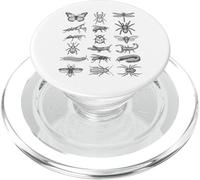 Tableau d'histoire Naturelle Scientifique des espèces d'insectes d'entomologie PopSockets PopGrip pour MagSafe