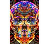 Tableau diamant 5d sur toile, coller des cristaux selon le principe de la peinture par numéros, décoration murale, motif : crâne mexicain